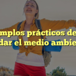 20 ejemplos prácticos de cómo cuidar el medio ambiente
