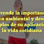 Comprende la importancia de la ética ambiental y descubre ejemplos de su aplicación en la vida cotidiana