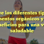 Conoce los diferentes tipos de alimentos orgánicos y sus beneficios para una vida saludable