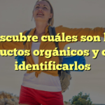 Descubre cuáles son los productos orgánicos y cómo identificarlos