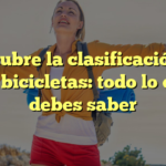 Descubre la clasificación de las bicicletas: todo lo que debes saber
