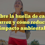 Descubre la huella de carbono del arroz y cómo reducir su impacto ambiental