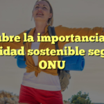 Descubre la importancia de la movilidad sostenible según la ONU
