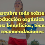 Descubre todo sobre la producción orgánica de abonos: beneficios, técnicas y recomendaciones