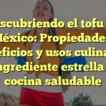 Descubriendo el tofu en México: Propiedades, beneficios y usos culinarios del ingrediente estrella de la cocina saludable