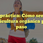 Guía práctica: Cómo sembrar la agricultura orgánica paso a paso