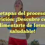 Las 4 etapas del proceso de la nutrición: ¡Descubre cómo alimentarte de forma saludable!