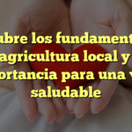 Descubre los fundamentos de la agricultura local y su importancia para una vida saludable