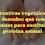 Alternativas vegetales a la carne: descubre qué toman los veganos para sustituir la proteína animal