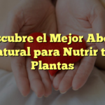 Descubre el Mejor Abono Natural para Nutrir tus Plantas