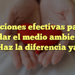 Acciones efectivas para cuidar el medio ambiente: ¡Haz la diferencia ya!