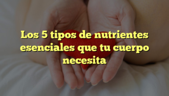 Los 5 tipos de nutrientes esenciales que tu cuerpo necesita