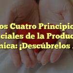 Los Cuatro Principios Esenciales de la Producción Orgánica: ¡Descúbrelos Aquí!