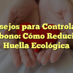 Consejos para Controlar el Carbono: Cómo Reducir tu Huella Ecológica