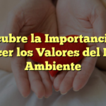 Descubre la Importancia de Conocer los Valores del Medio Ambiente