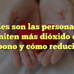¿Cuáles son las personas que emiten más dióxido de carbono y cómo reducirlo?