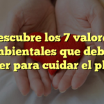 Descubre los 7 valores ambientales que debes conocer para cuidar el planeta