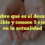Descubre qué es el desarrollo sostenible y conoce 5 ejemplos en la actualidad