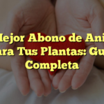 El Mejor Abono de Animal para Tus Plantas: Guía Completa