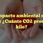 El impacto ambiental de la carne: ¿Cuánto CO2 produce 1 kilo?