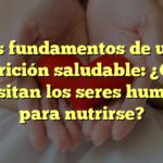 Los fundamentos de una nutrición saludable: ¿Qué necesitan los seres humanos para nutrirse?