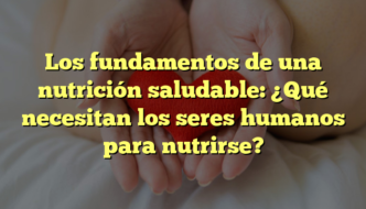 Los fundamentos de una nutrición saludable: ¿Qué necesitan los seres humanos para nutrirse?