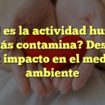 ¿Cuál es la actividad humana que más contamina? Descubre su impacto en el medio ambiente