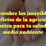 Descubre los increíbles beneficios de la agricultura orgánica para tu salud y el medio ambiente