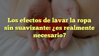 Los efectos de lavar la ropa sin suavizante: ¿es realmente necesario?