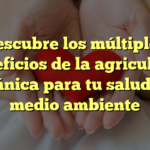 Descubre los múltiples beneficios de la agricultura orgánica para tu salud y el medio ambiente