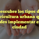 Descubre los tipos de agricultura urbana que puedes implementar en tu ciudad