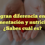 La gran diferencia entre alimentación y nutrición: ¿Sabes cuál es?