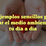 10 ejemplos sencillos para cuidar el medio ambiente en tu día a día