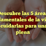 Descubre las 5 áreas fundamentales de la vida y cómo cuidarlas para una vida plena