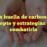 La huella de carbono: concepto y estrategias para combatirla