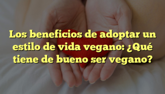 Los beneficios de adoptar un estilo de vida vegano: ¿Qué tiene de bueno ser vegano?