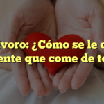 Omnívoro: ¿Cómo se le dice a la gente que come de todo?