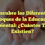 Descubre los Diferentes Enfoques de la Educación Ambiental: ¿Cuántos Tipos Existien?
