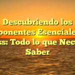 Descubriendo los Componentes Esenciales del Fitness: Todo lo que Necesitas Saber