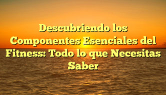 Descubriendo los Componentes Esenciales del Fitness: Todo lo que Necesitas Saber