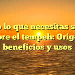 Todo lo que necesitas saber sobre el tempeh: Origen, beneficios y usos