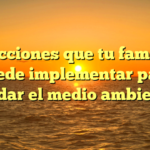 5 acciones que tu familia puede implementar para cuidar el medio ambiente