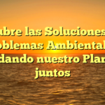 Descubre las Soluciones a los Problemas Ambientales: Cuidando nuestro Planeta juntos