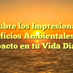 Descubre los Impresionantes Beneficios Ambientales y su Impacto en tu Vida Diaria