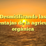 Desmitificando las desventajas de la agricultura orgánica