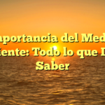 Importancia del Medio Ambiente: Todo lo que Debes Saber