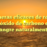 7 maneras eficaces de reducir el dióxido de carbono en la sangre naturalmente