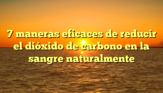 7 maneras eficaces de reducir el dióxido de carbono en la sangre naturalmente