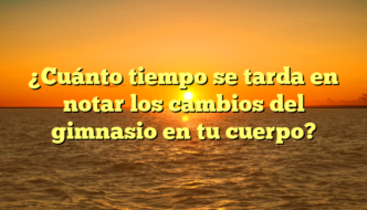 ¿Cuánto tiempo se tarda en notar los cambios del gimnasio en tu cuerpo?