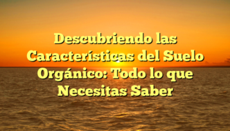 Descubriendo las Características del Suelo Orgánico: Todo lo que Necesitas Saber